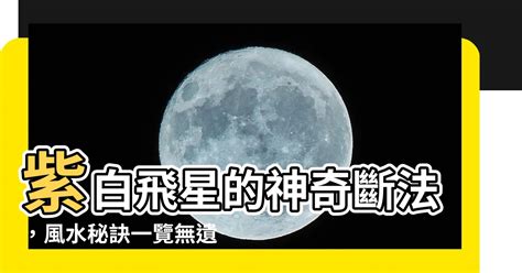 九千飛星|同步斷訣 